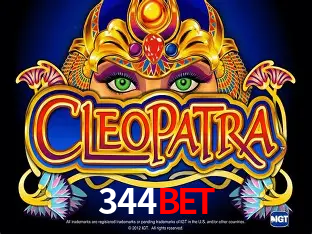 344bet Salvador - Statistics